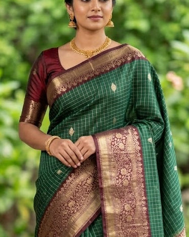 Woman wearing a green saree with a brown border in an outdoor setting
